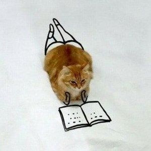 Meet your Posher, Geraldine